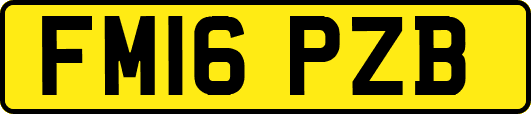 FM16PZB