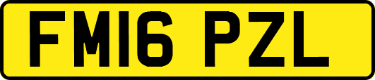 FM16PZL