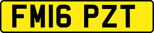 FM16PZT