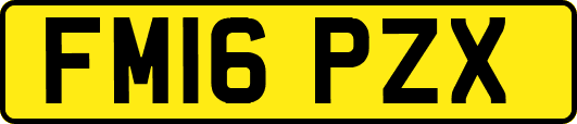 FM16PZX