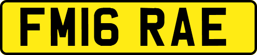 FM16RAE