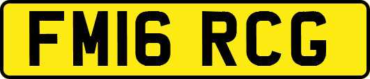 FM16RCG