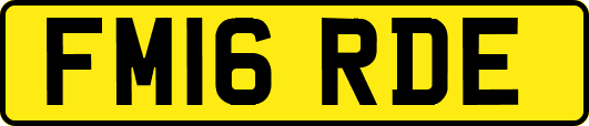 FM16RDE