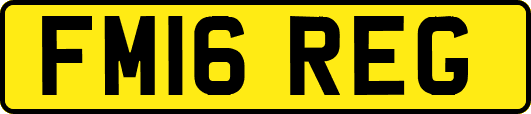 FM16REG