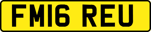 FM16REU