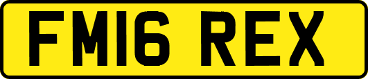 FM16REX