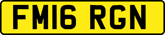 FM16RGN