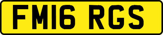 FM16RGS