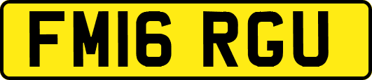 FM16RGU