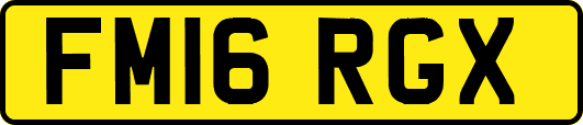 FM16RGX
