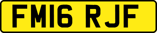 FM16RJF