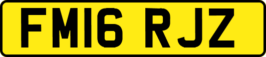 FM16RJZ