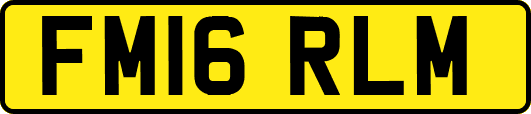 FM16RLM