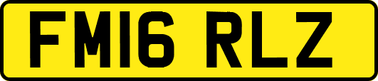 FM16RLZ
