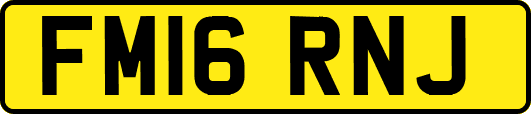 FM16RNJ