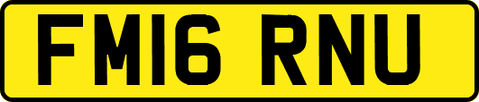 FM16RNU