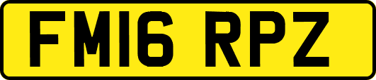 FM16RPZ