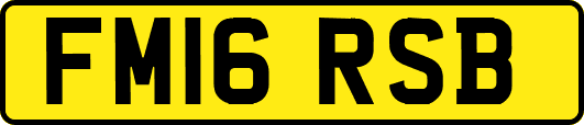 FM16RSB