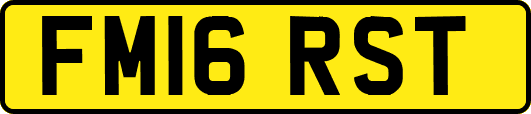 FM16RST
