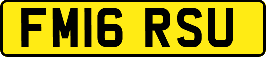FM16RSU
