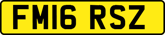 FM16RSZ