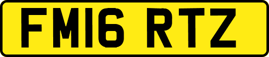 FM16RTZ
