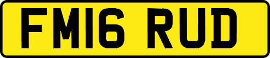 FM16RUD