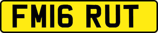 FM16RUT