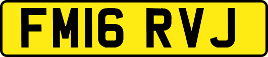 FM16RVJ