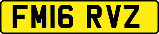 FM16RVZ