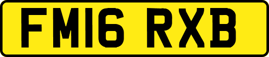 FM16RXB