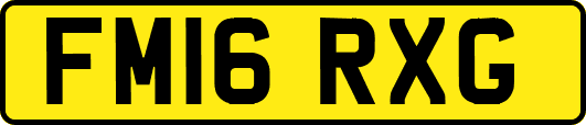 FM16RXG