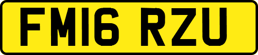 FM16RZU