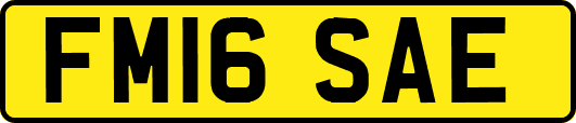 FM16SAE