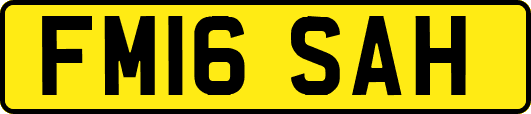 FM16SAH