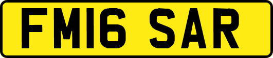 FM16SAR