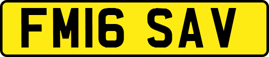 FM16SAV