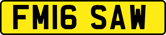 FM16SAW