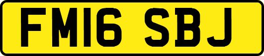 FM16SBJ