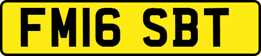 FM16SBT