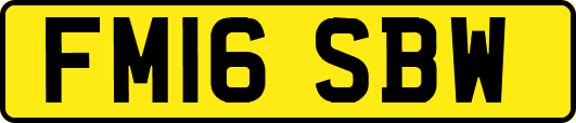 FM16SBW