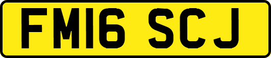 FM16SCJ