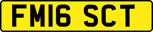 FM16SCT
