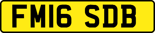 FM16SDB