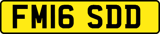 FM16SDD