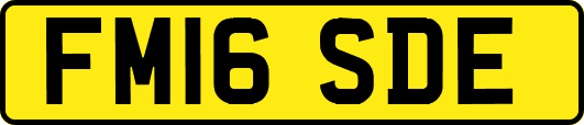 FM16SDE