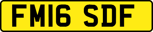 FM16SDF