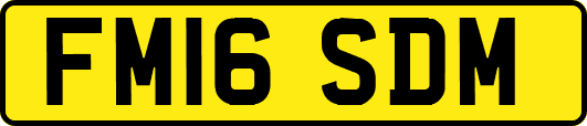 FM16SDM