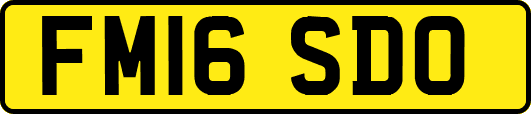 FM16SDO