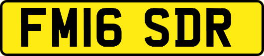 FM16SDR